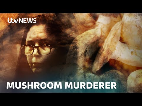 Woman found guilty in death cap mushroom murder trial that has shocked Australia | ITV News