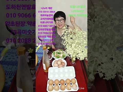 #두릅의 효능 #두릅꽃 #두릅씨앗 #두릅뿌리 #두릅뿌리껍질 #<strong>두릅나무</strong>