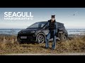 BYD Seagull Live version