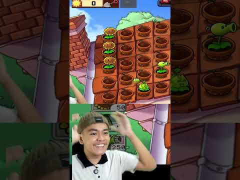 Perang di genteng rumah