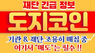 [도지코인] 긴급정보 ! 기관 & 재단 조용히 매집중 ? 여기서 매도는 필수 !!