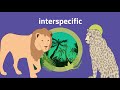 Ecological Interactions and Competition