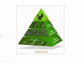Ecological Concepts and Principles