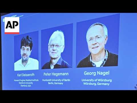 諾貝爾生理學或醫學獎頒給三名研究腦部活動的科學家