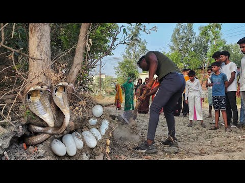ऐसा मंजर पहली बार आया लोगो के सामने जिसे देख लोगों के पसीने छुट गए😱फिर कैसे एक मां का दिखा रौद्र रूप