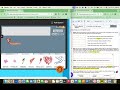 Digestive System Functions and Models
