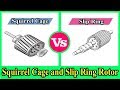 Types and Features of Rotors