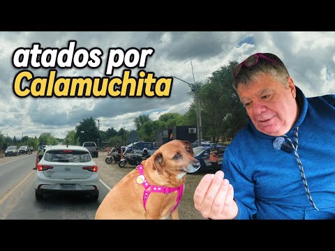 SE COMPLICA VIAJAR CON MASCOTAS en Córdoba?