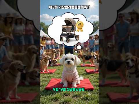제3회 기장반려동물문화축제 이벤트 경기...멍때리기 도전 #멍때리기 #반려동물 #반려견 #반려동물축제 #이벤트 #<strong>유모차</strong> #기장군 #강아지 #펫축제 #동물농장강아지 #애견영상