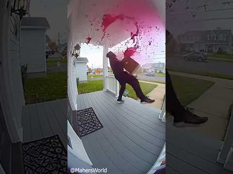 Porch Thieves Steal Explosive Packages #youtubeshorts #ytshorts #comedy