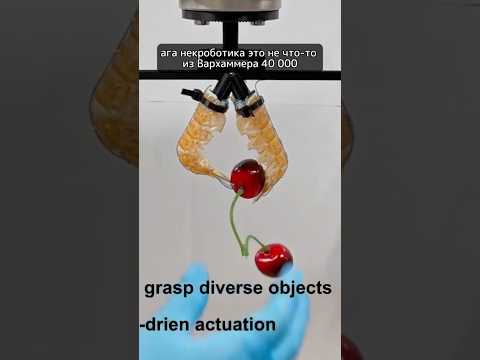 Роборуки из ЛОБСТЕРОВ! #shorts #шортс