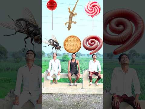 Tu Radha meri mia shyam Tera 💕🌺💞 three brothers eating game new magic #radha #krishna #newsong