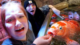 Feeding 10 CRAZY ANiMALS with ADLEY!!  Swimming inside a real Shark Aquarium with my Family, Zoo Fun