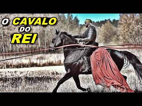 O Cavalo Imortal: Por que Bucéfalo, o CAVALO DO REI ALEXANDRE,  Ainda é Lembrado Hoje ?