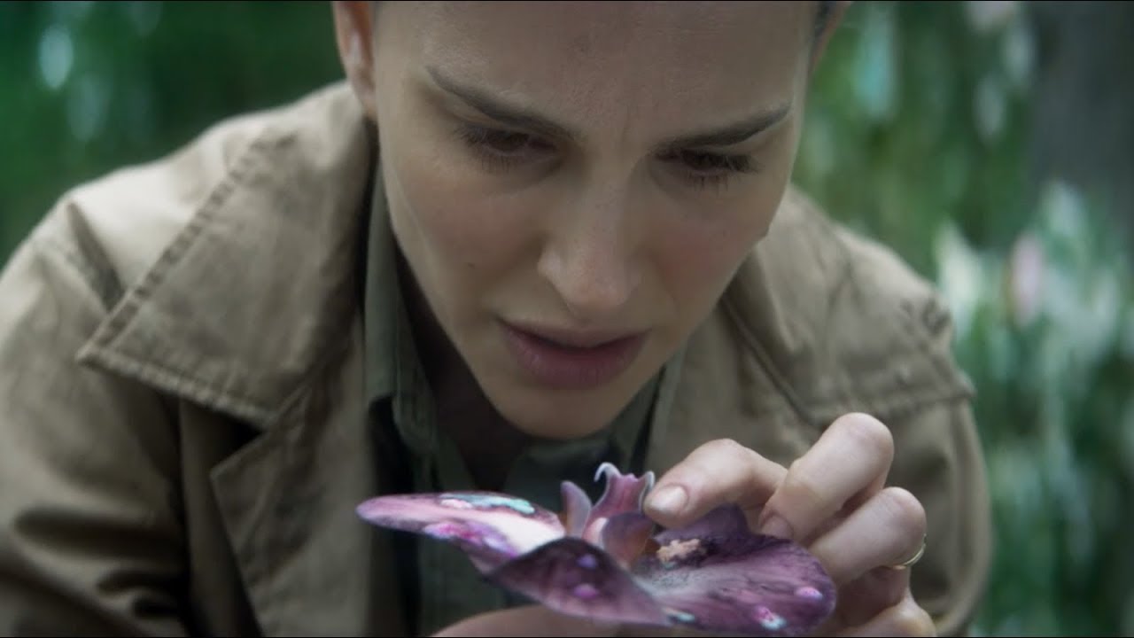 Scene From Annihilation Anatomy of a Scene