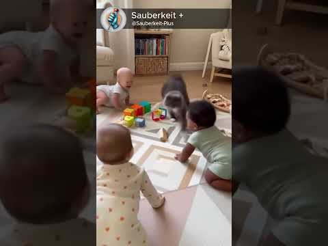 Just a normal day with babies and chaos