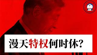 方脸说：从董袭莹到亮证姐，为什么中国的特权行为屡禁不止？系统性腐败，漫天特权何时休？