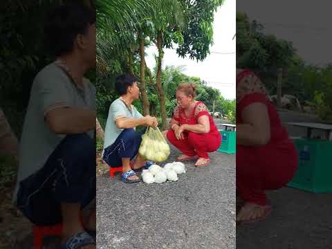 Tuyệt chiêu bán ổi | Phước Lầy #shorts