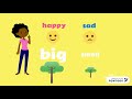 Exploring Synonyms and Antonyms