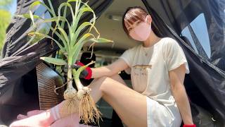 限界を感じながらも山の中のひとり農作業と車中飯