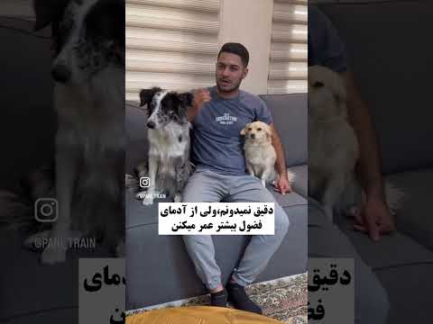 بدترین سوالی که ازت پرسیدن چی بوده؟ #سگ
