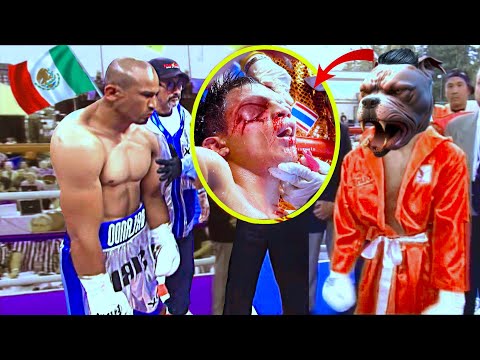 Los 7 Knockdown del PITBULL Demoniaco vs. Orlando Siri Salido!