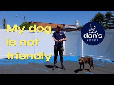 How to Tell People They CAN'T Say Hi to Your Dog