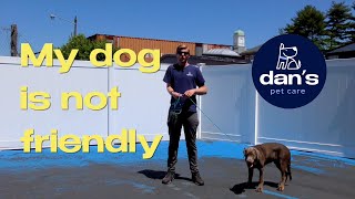 How to Tell People They CAN'T Say Hi to Your Dog