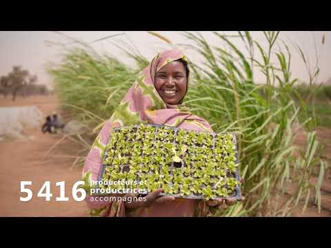 En Mauritanie: Face à l’insécurité alimentaire, des solutions durables prennent racine ! 