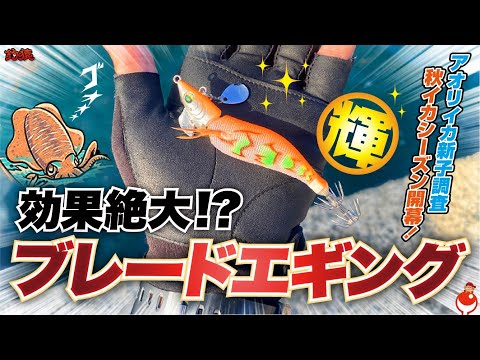 【エギング】秋イカシーズン遂に開幕！ブレードチューンで早速無双したい！✨アモラスver