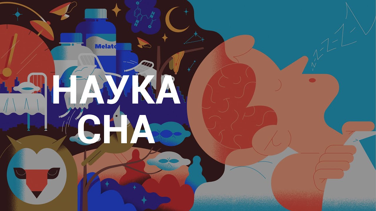 Наука сна - курс Михаила Полуэктова