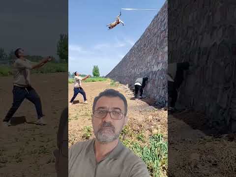Kurt köpeğinden Muhteşem  performans