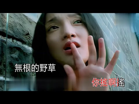 周迅  飄搖 KTV 高清修復版