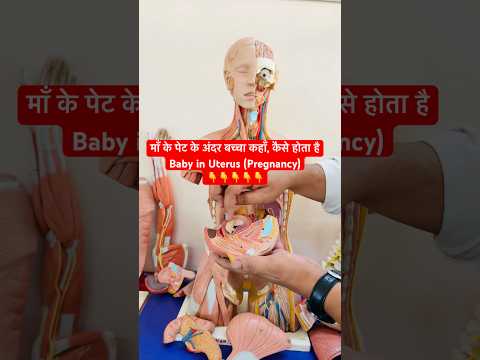 माँ के पेट के अंदर बच्चा कहाँ और कैसे होता है | Baby in Uterus & Pregnancy #shorts #trending