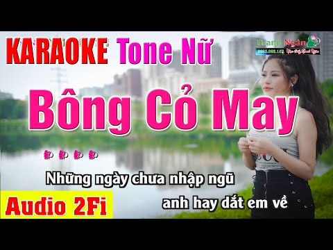 BÔNG CỎ MAY Karaoke Tone Nữ | Âm Thanh Tách Nhạc 2Fi – Nhạc Sống Thanh Ngân