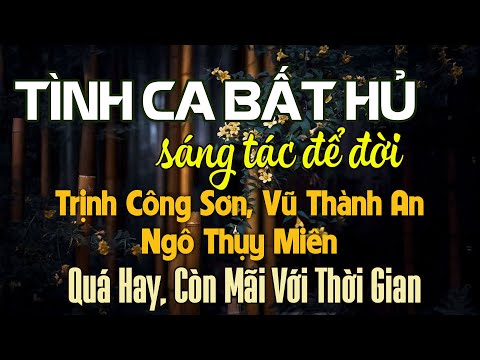 Ngô Thụy Miên, Trịnh Công Sơn, Vũ Thành An | Bộ Tam Tình Khúc Bất Hủ Vượt Thời Gian Nghe Là Say Đắm