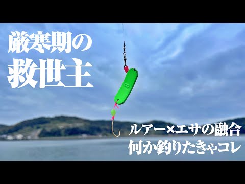 色々釣れてコスパ◎！魚が減る今の時期こそオススメしたい仕掛けと出会った。仕掛け自体も超シンプルなんで釣り歴浅い方にも推したい！！