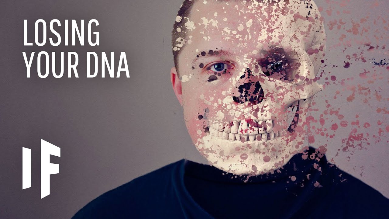 What If Your DNA Suddenly Disappeared?
