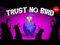Brood Parasitism in Birds
