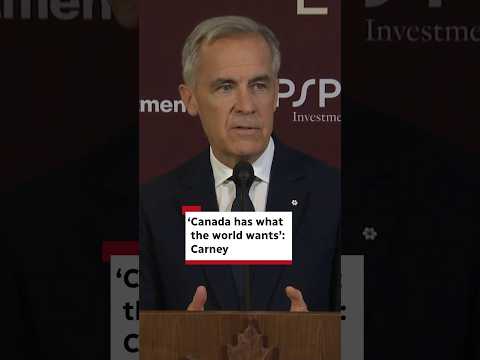 'Canada has what the world wants': Carney