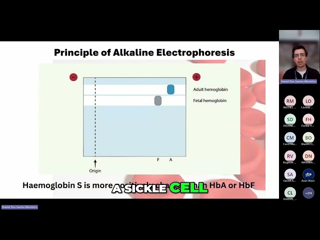 What causes Sickle Cell Disease?
In this short clip from our webinar, "Haemoglobinopathies – The Small Details That Make a Big Difference", Daniel Pereira Monteiro explains how a single amino acid substitution in haemoglobin leads to profound changes in red blood cell shape, function, and health.

🔗 Watch the full webinar: https://youtu.be/uPloKSurecg?si=_mfIfaSwCPWEw2JV
📚 Hosted by: OnlyCells
🩸 Topics: Sickle Cell, haemoglobinopathies, red cell morphology, biomedical science, haematology

Subscribe to OnlyCells for more content on blood cell morphology, laboratory medicine, and healthcare science.