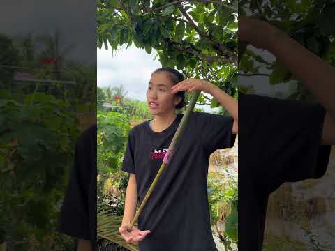 THI BẮNG SÚNG NƯỚC #tuilalone