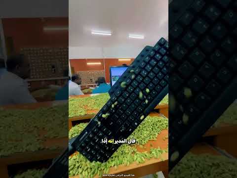 هذا المكتب يستحيل فيه التكاسل 😮