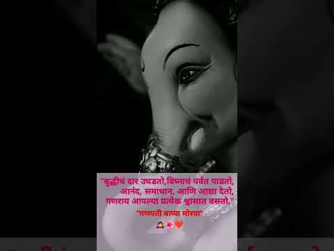 "विघ्नहर्ता गणराया ✨🙏 " #ganpatibappamorya #bappalovers