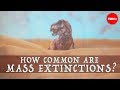 Mass Extinction Events and Their Impact