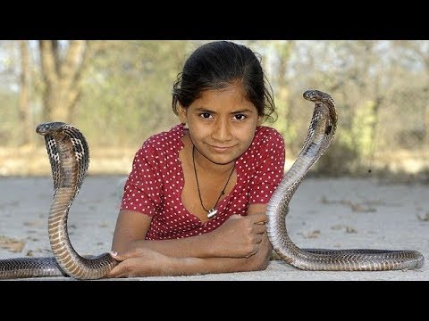 দেখুন ১১ বছরের মেয়ে কাজলের খেলা সাথী ভয়ঙ্কর বিষধর সাপ কিং কোবরা !! ভিডিওটি দেখলে গা শিউরে উঠবে !!