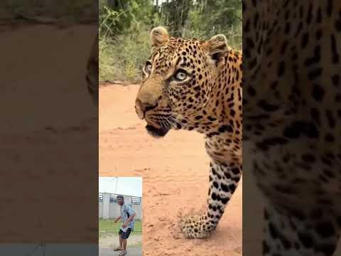 Hope is not coming back 😔😲 #funny #petsrule #dogcomedy #dog #comedy #doggielife #dogentertainment