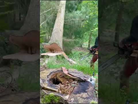 Máy Cưa Tiện Dụng – Người Thợ Nào Cũng Nên Có