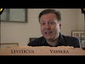 Understanding the Torah