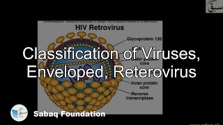 Classification of Viruses, Enveloped, Reterovirus